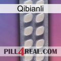 Qibianli 08